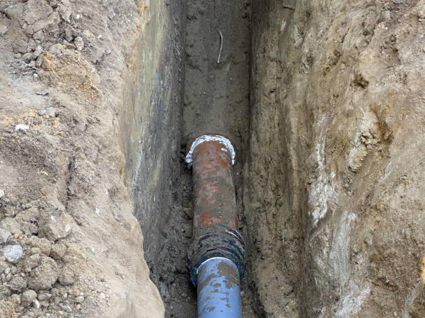 Best Flood damage cleanup  in Crystal Lake, IL