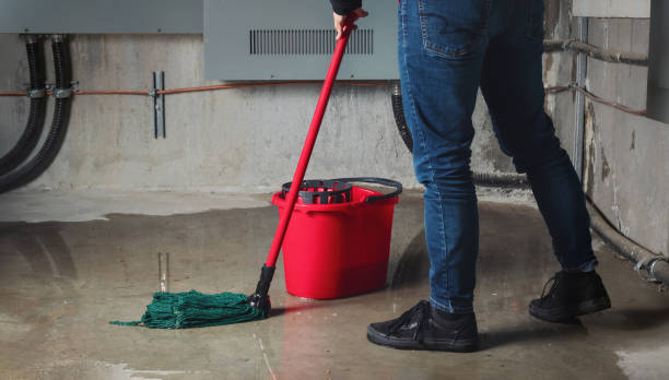 Best Sewage cleanup and water damage restoration  in Crystal Lake, IL
