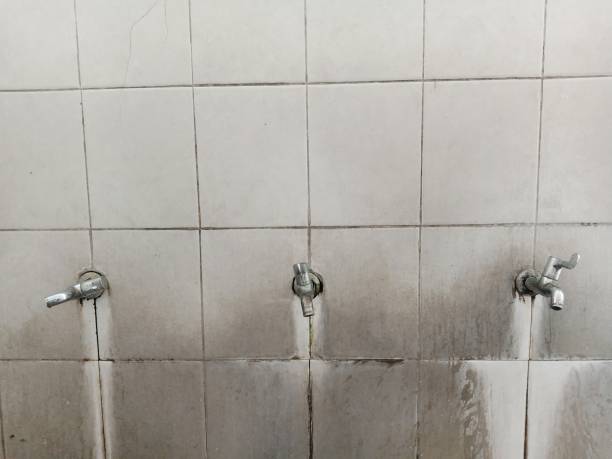 Best Flood damage cleanup  in Crystal Lake, IL